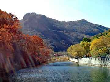 新澳天天开奖资料大全旅游团，丑妾侍君